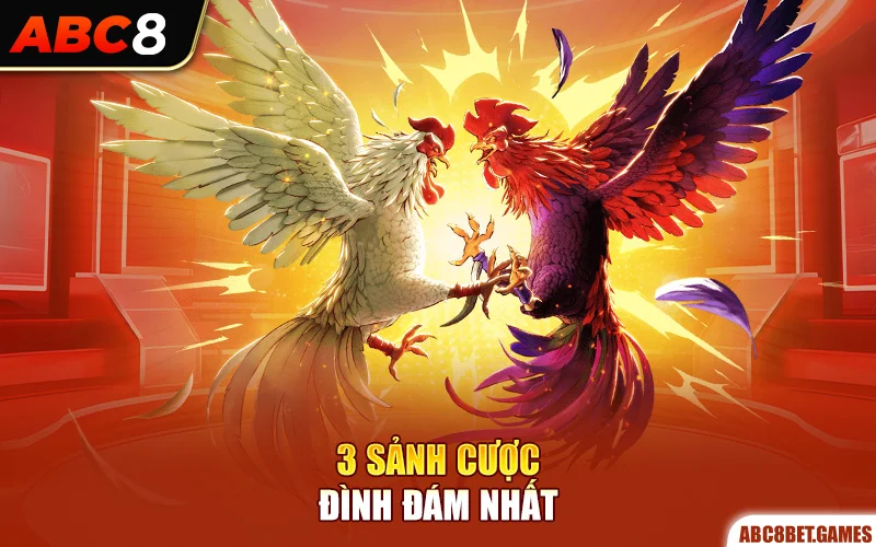 3 sảnh cược đình đám nhất