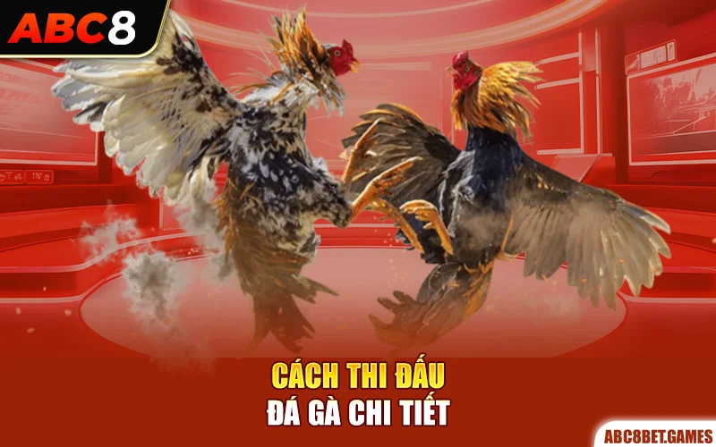 Cách thi đấu đá gà chi tiết