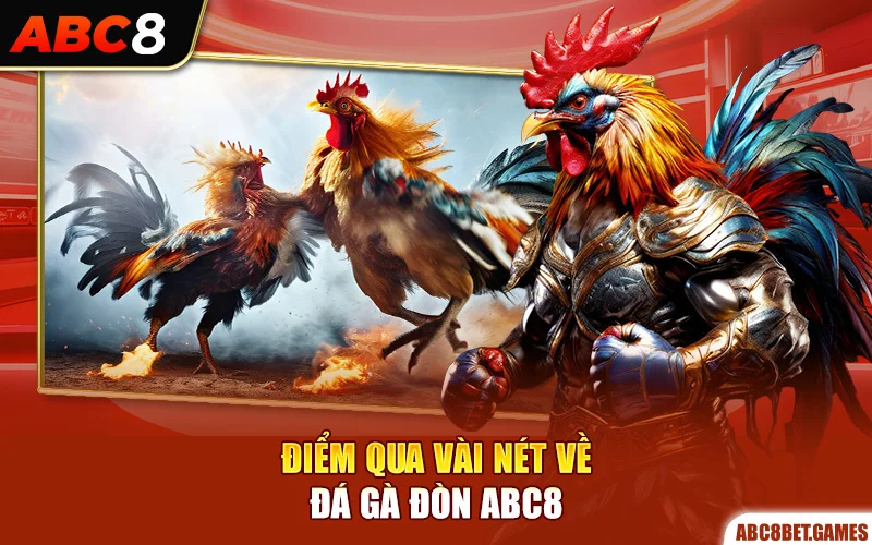 Điểm qua vài nét về đá gà đòn ABC8