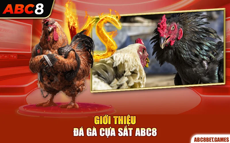 Giới thiệu đá gà cựa sắt ABC8