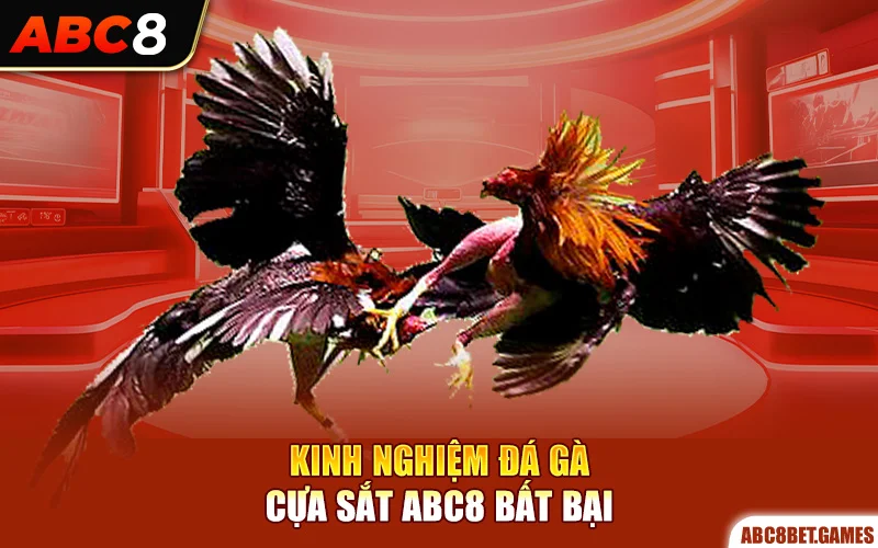 Kinh nghiệm đá gà cựa sắt ABC8 bất bại