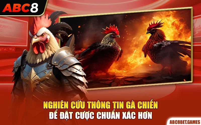 Nghiên cứu thông tin gà chiến để đặt cược chuẩn xác hơn