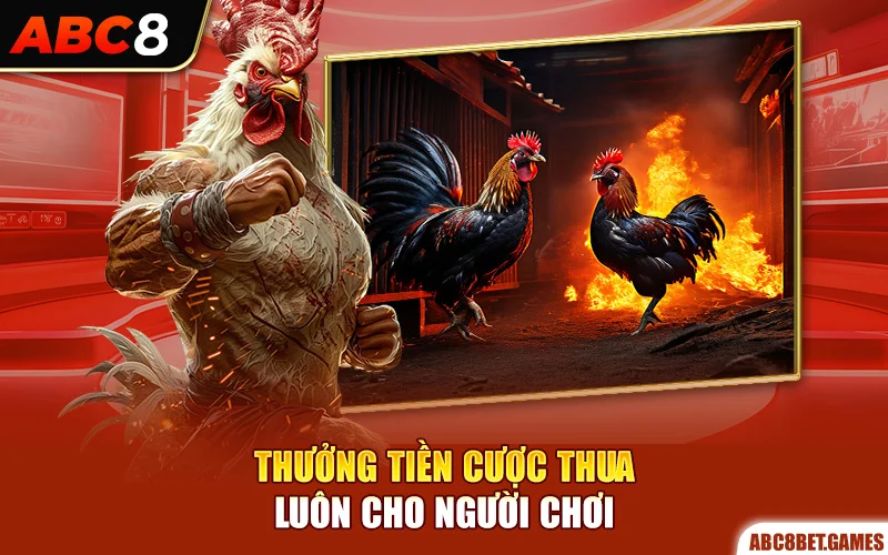 Thưởng tiền cược thua luôn cho người chơi