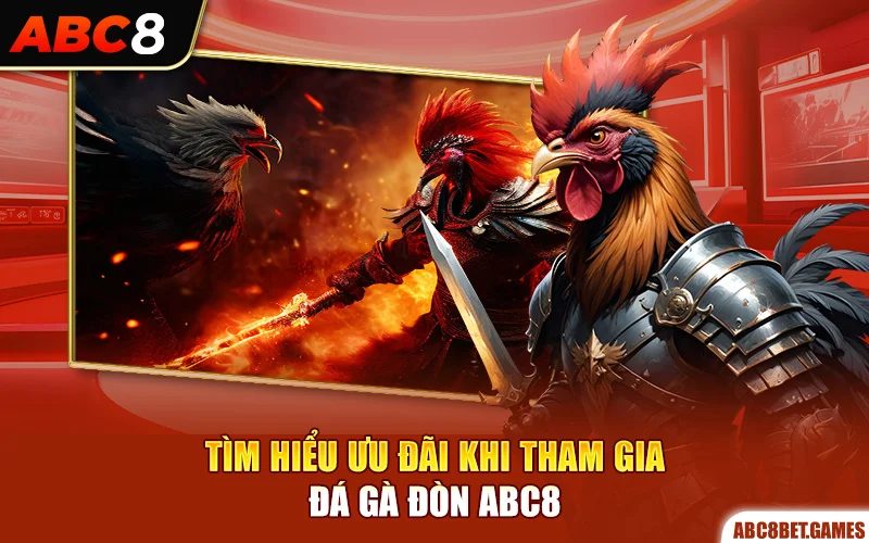 Tìm hiểu ưu đãi khi tham gia đá gà đòn ABC8